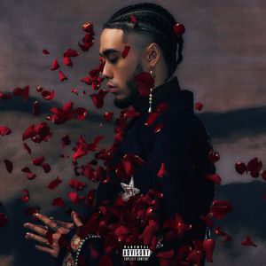 【黑夜在线视频】一区
